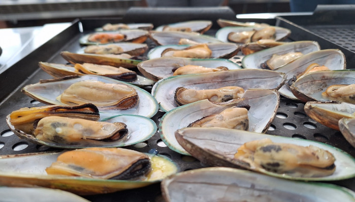 01979acf 20240317 153420 v2